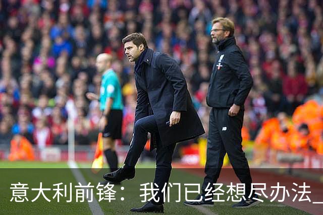 意大利前锋：我们已经想尽办法 但还是不够